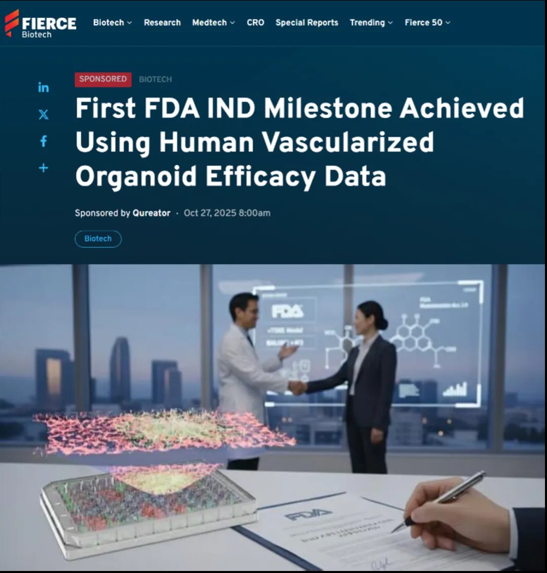 器官芯片支持全球首个！FDA仅基于人类血管化类器官疗效数据即批准IND申请