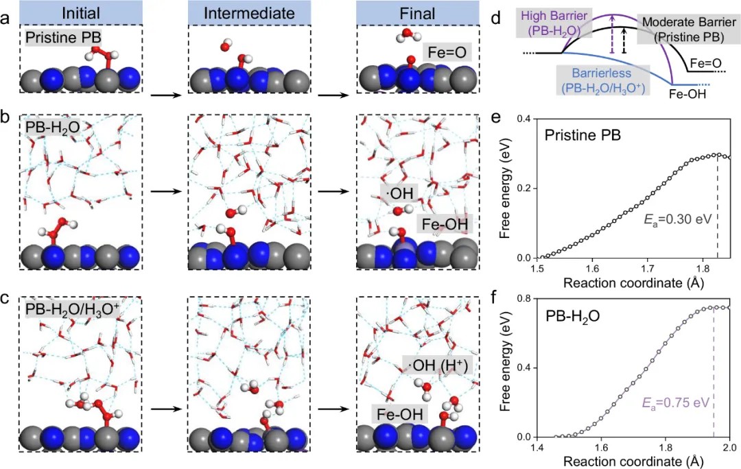 东南大学张宇、马明、武昊安团队在Nature Communications发表：揭示配位工程调控普鲁士蓝纳米酶催化活性氧生成机制